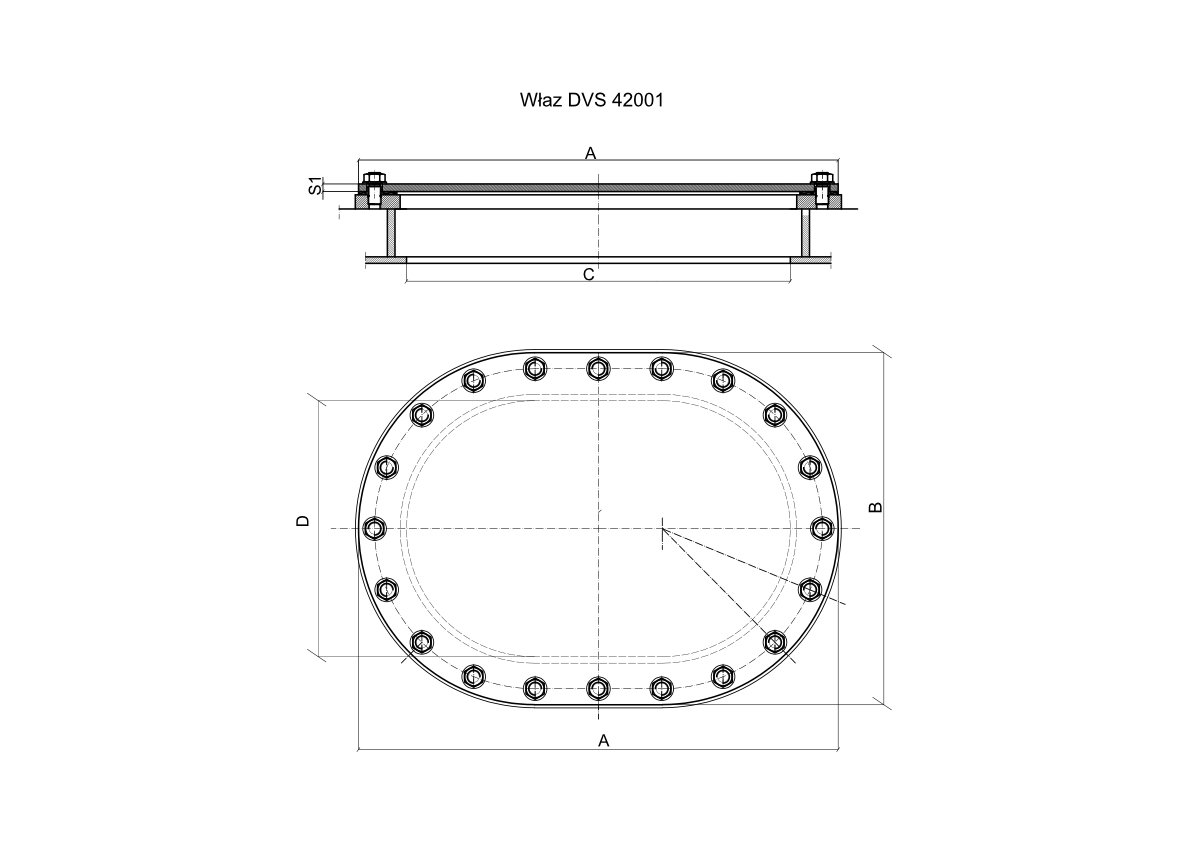 Właz DVS 42001
