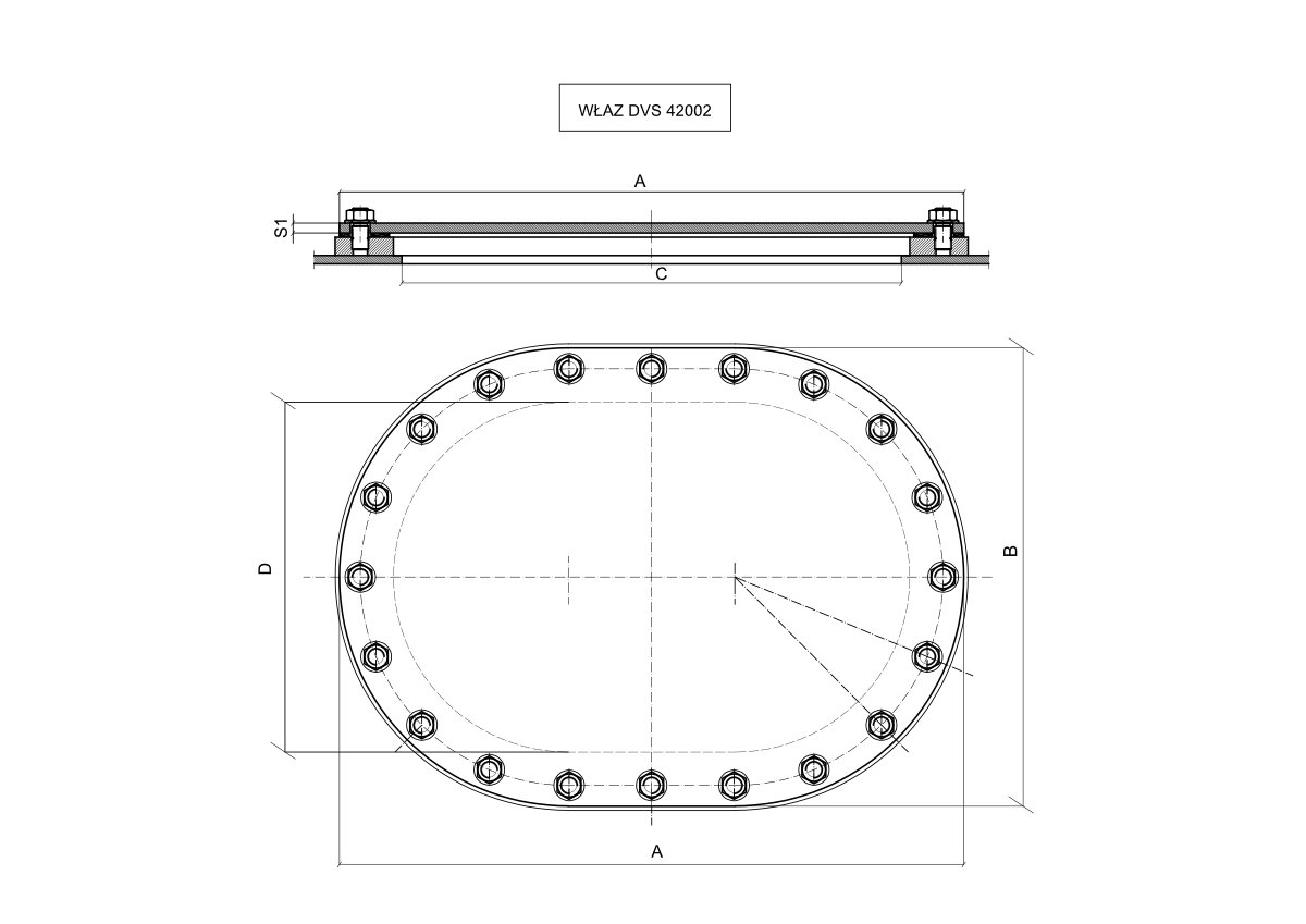 Właz DVS 42002