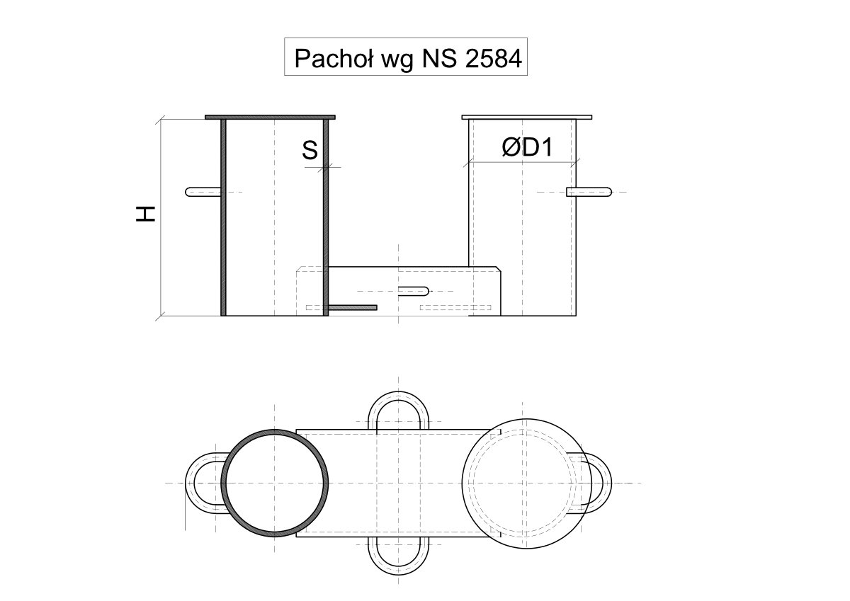 Pachoł NS 2584